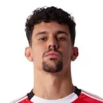 Tomás Tomas Araujo
