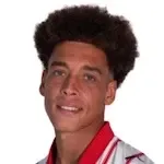 Axel Laurent Witsel